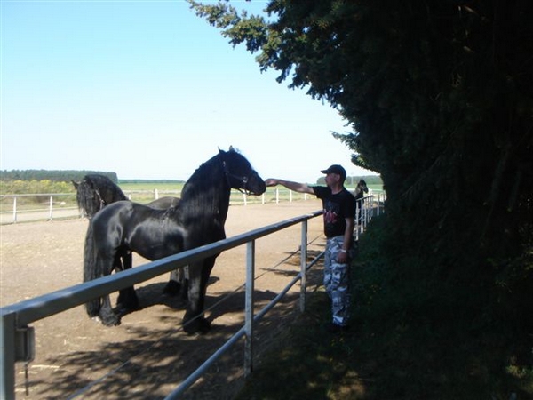 DSC01540 (2).JPG